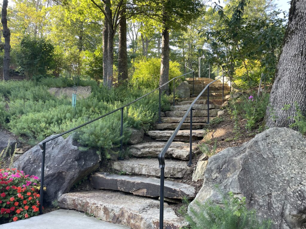 stone stairs surrounded by plants