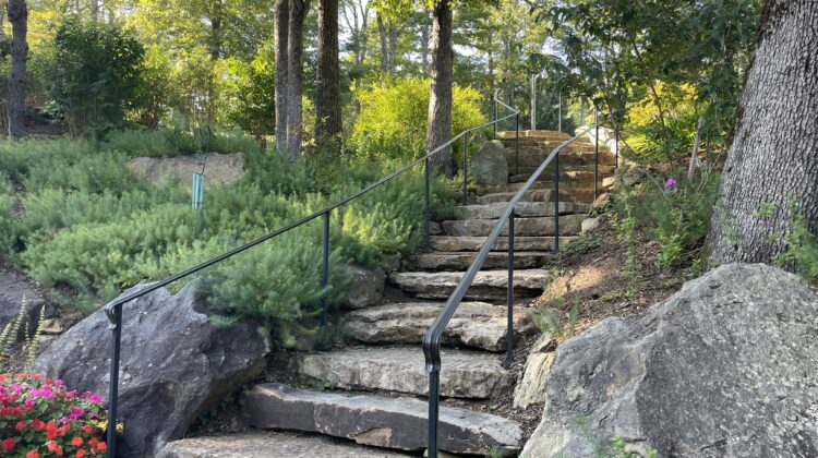 stone stairs surrounded by plants